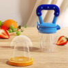 Baby Food Feeder with Fresh Fruits Vegetables Teething Toy Pacifier Baby Feeder - Image 2