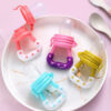 Baby Food Feeder with Fresh Fruits Vegetables Teething Toy Pacifier Baby Feeder - Image 3